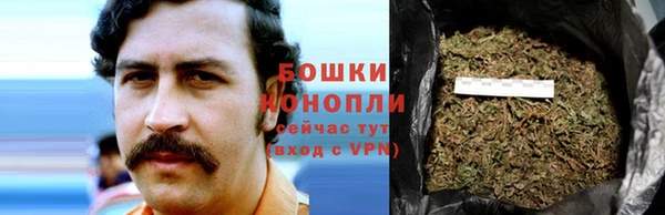 spice Алексин