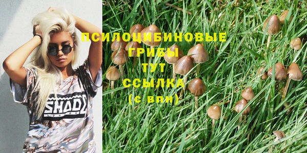 гидра Алексеевка
