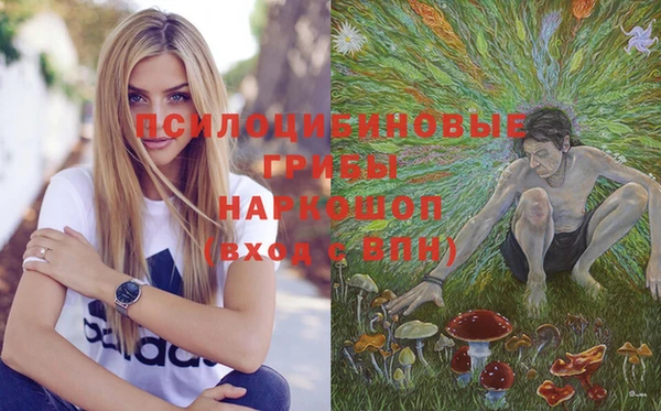 гидра Алексеевка